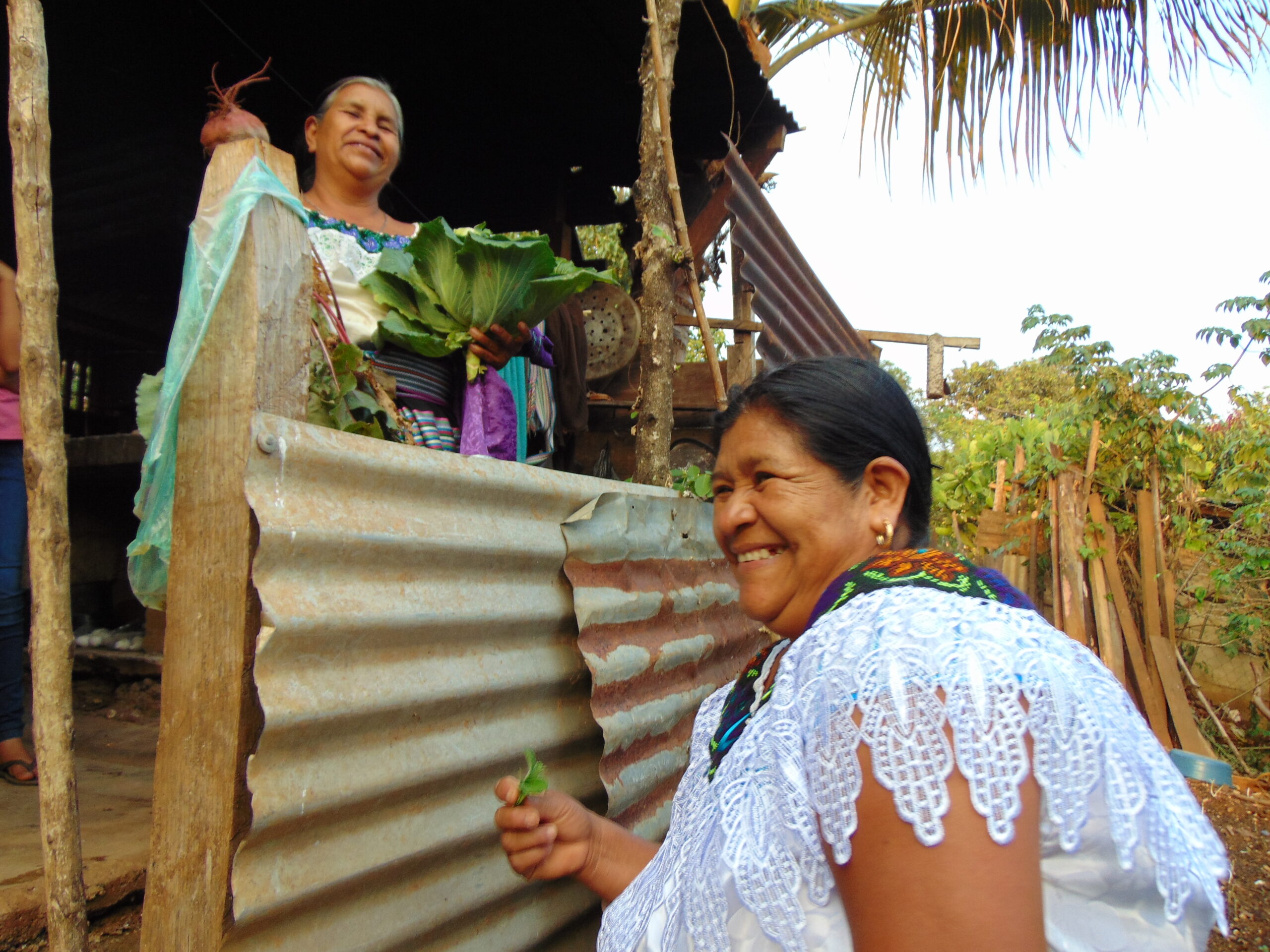 Celebrando la Sabiduría Ancestral en el Día Internacional de los Pueblos Indígenas